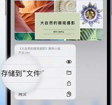 景县apple维修中心分享iPhone文件应用中存储和找到下载文件