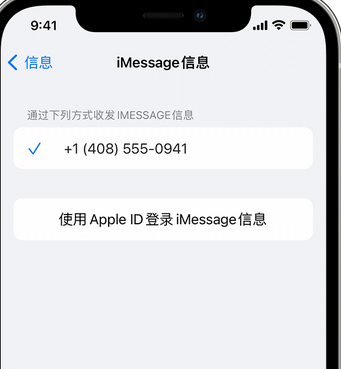 景县apple维修iPhone上无法正常发送iMessage信息 