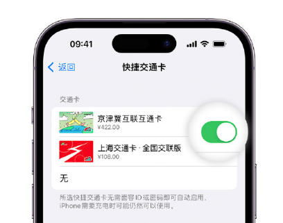 景县apple维修点分享iPhone上更换Apple Pay快捷交通卡手绘卡面 