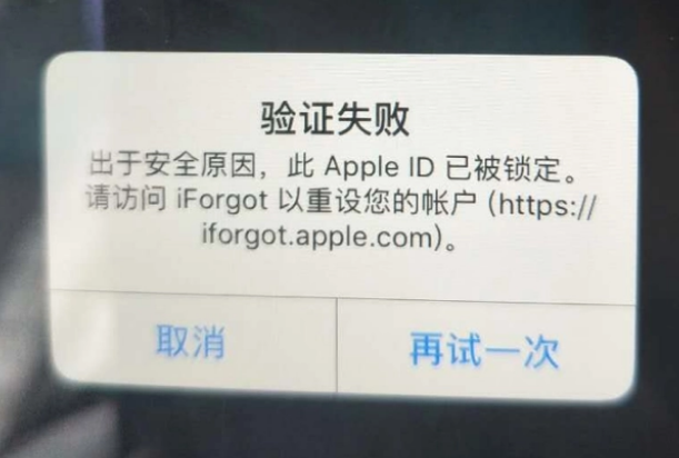 景县iPhone维修分享iPhone上正常登录或使用AppleID怎么办 