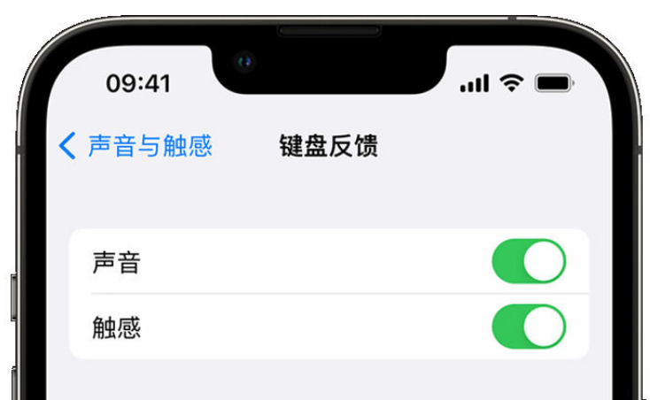 景县苹果手机维修分享iPhone 14触感键盘使用方法 