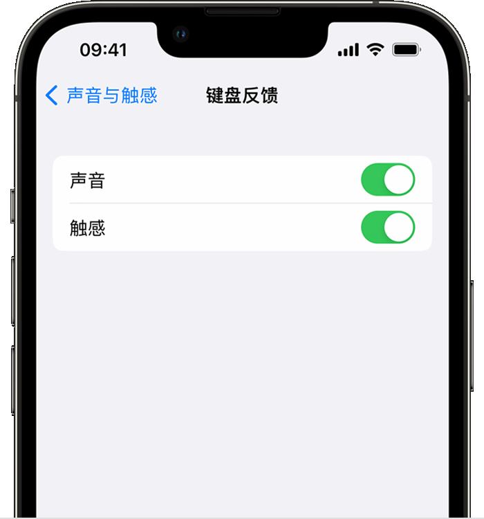 景县苹果14维修店分享如何在 iPhone 14 机型中使用触感键盘 