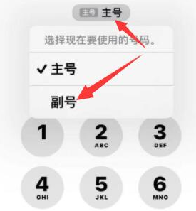 景县苹果14维修店分享iPhone 14 Pro Max使用副卡打电话的方法 