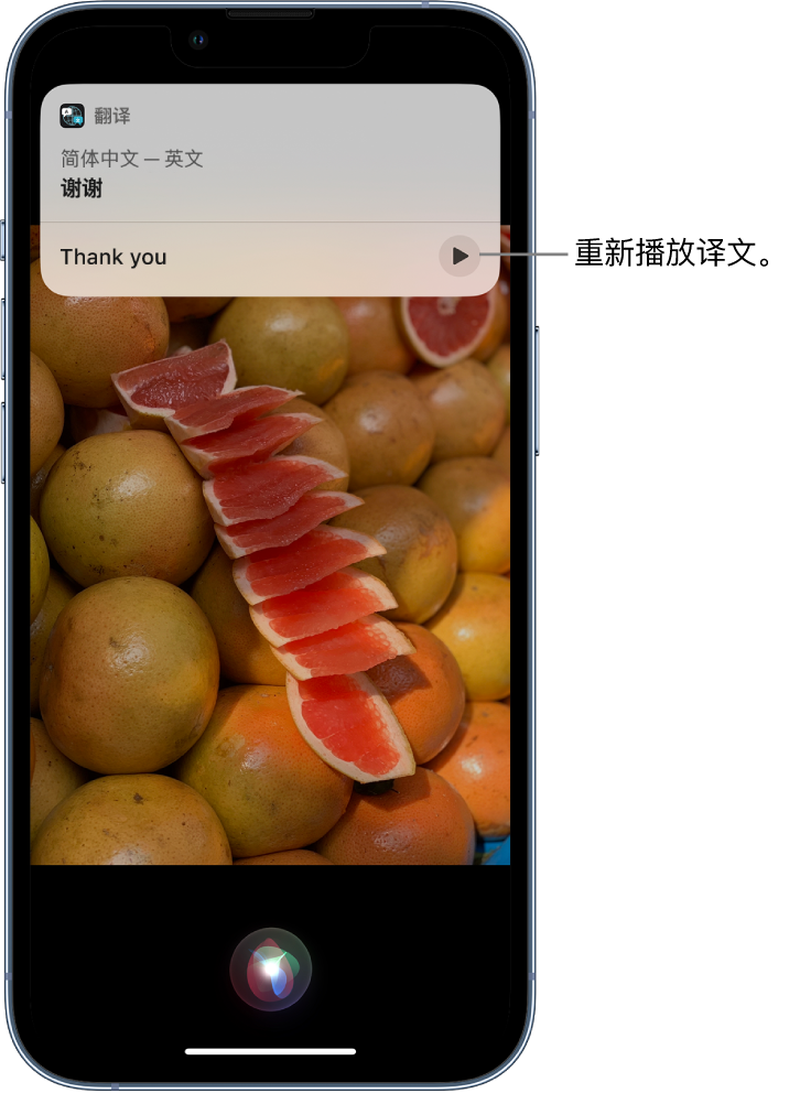 景县苹果14维修分享 iPhone 14 机型中使用 Siri：了解 Siri 能帮你做什么 