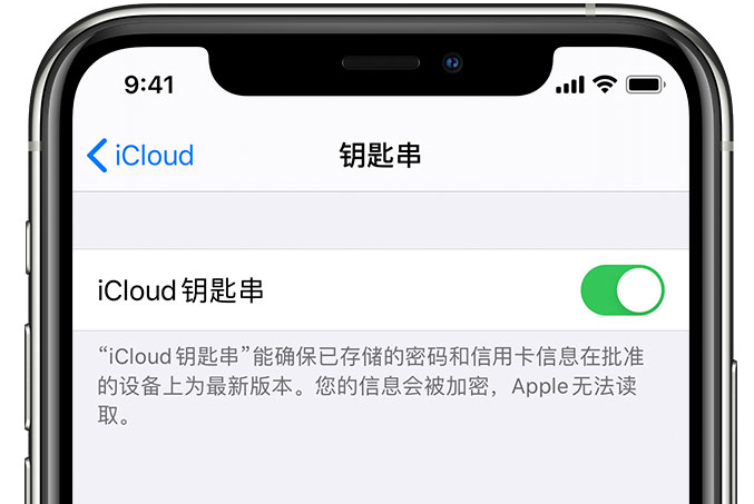 景县苹果手机维修分享在 iPhone 上开启 iCloud 钥匙串之后会储存哪些信息 