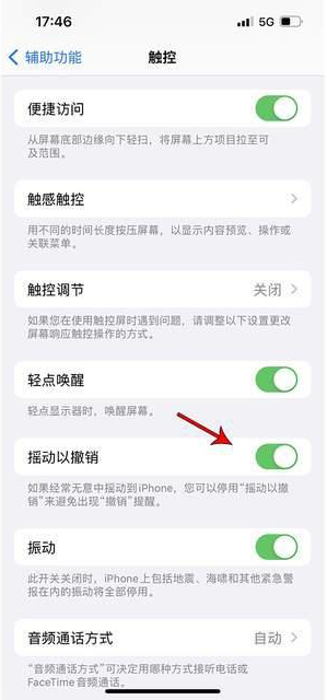 景县苹果手机维修分享iPhone手机如何设置摇一摇删除文字 